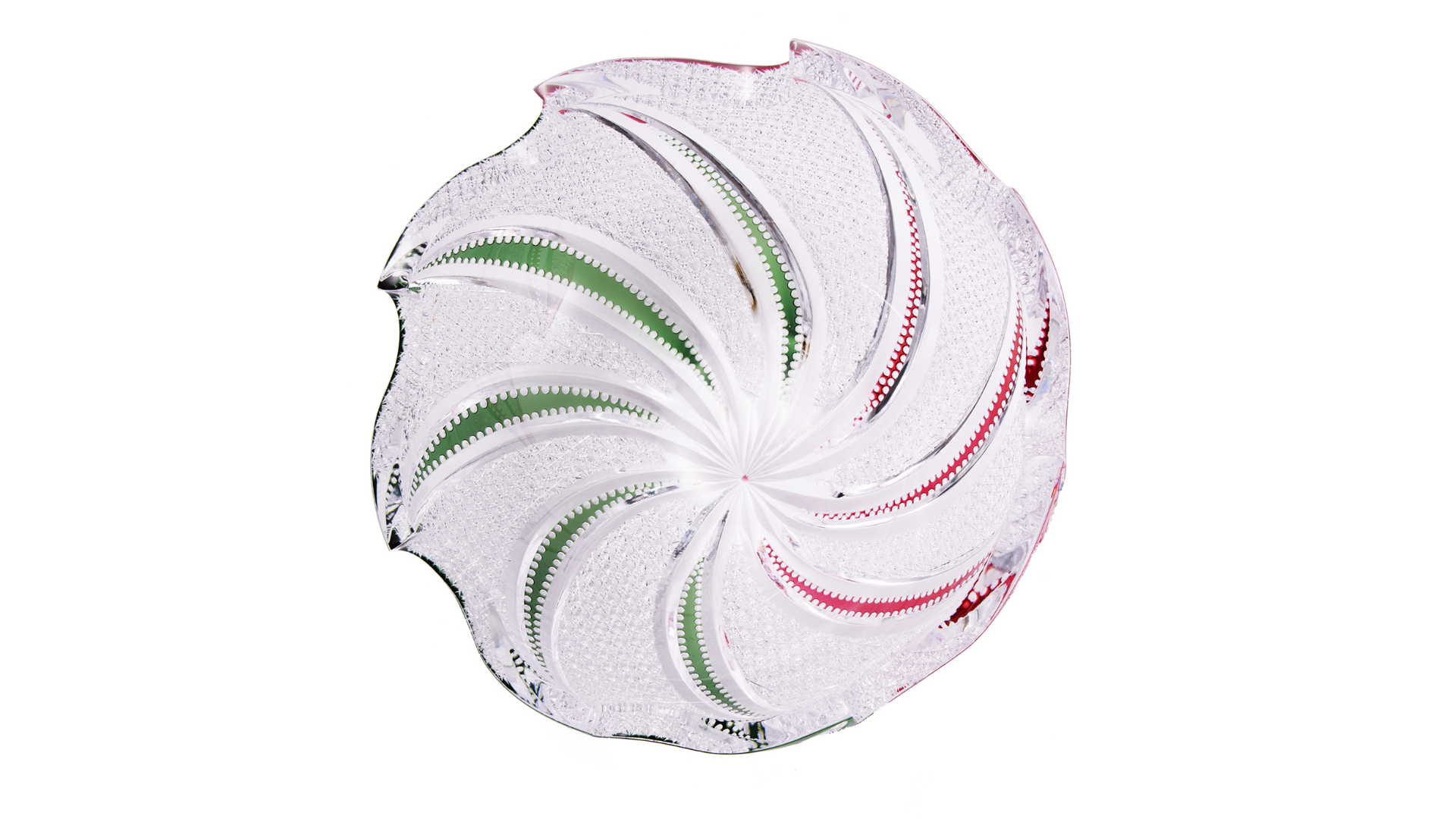 スライドショー用_蛸