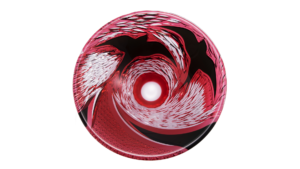 スライドショー用2